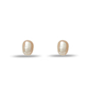 Lele Sadoughi Freshwater Pearl Stud Earrings