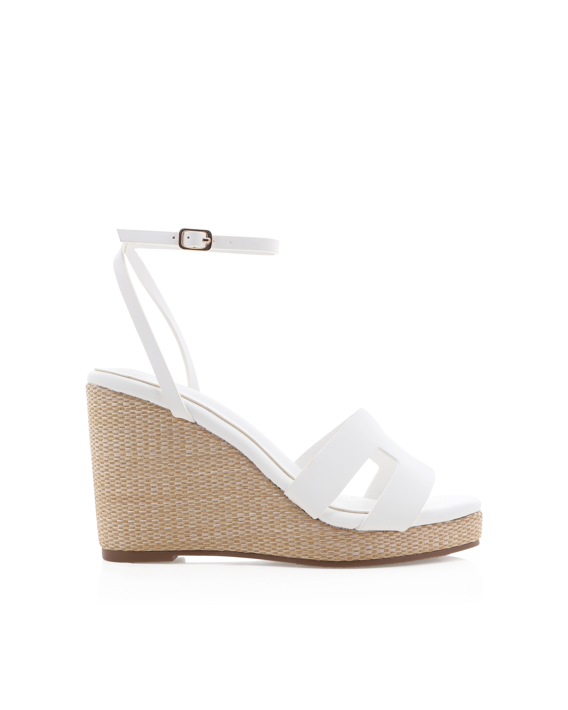 DELPHINIA