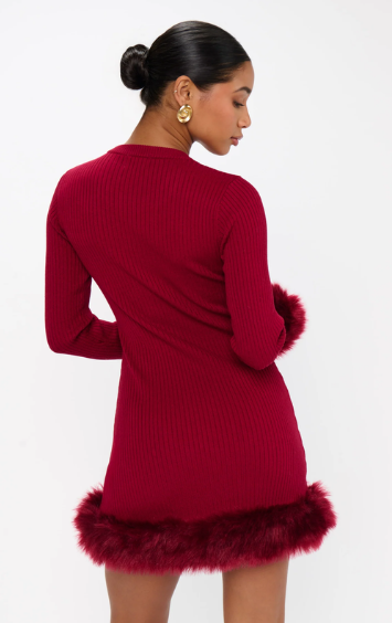 Show Me Your Mumu Fran Mini Dress
