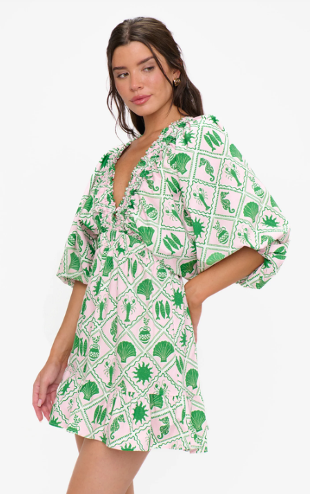 Show Me Your Mumu Hadley Mini Dress