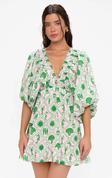 Show Me Your Mumu Hadley Mini Dress