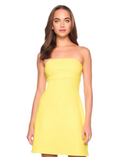 Susana Monaco Tube Flare Dress 18"