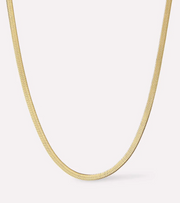 Ana Luisa Ina Herringbone Chain Necklace