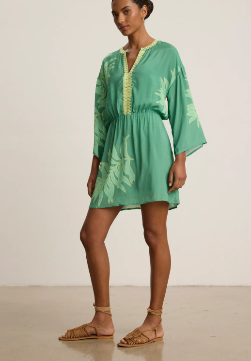 Velvet by Graham & Spencer Phoebe Dress