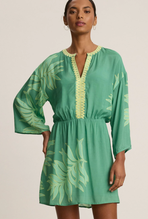 Velvet by Graham & Spencer Phoebe Dress
