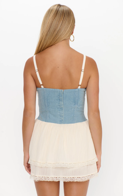 Show Me Your Mumu Geneva Mini Dress