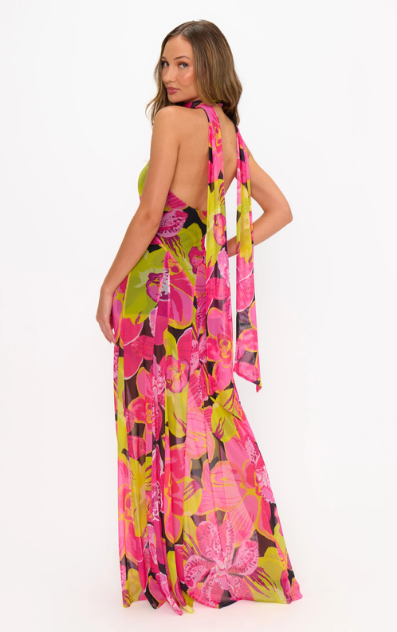 Show Me Your Mumu Katia Maxi Dress